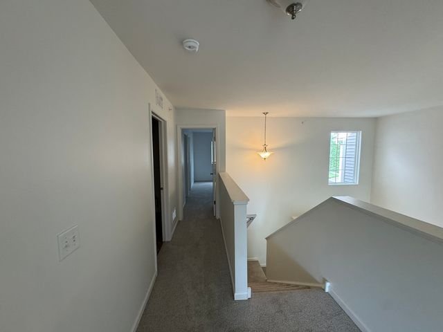 11913 BRUNSCHON Lane 11913, Huntley, IL 60142