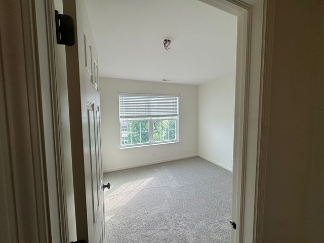 11913 BRUNSCHON Lane 11913, Huntley, IL 60142