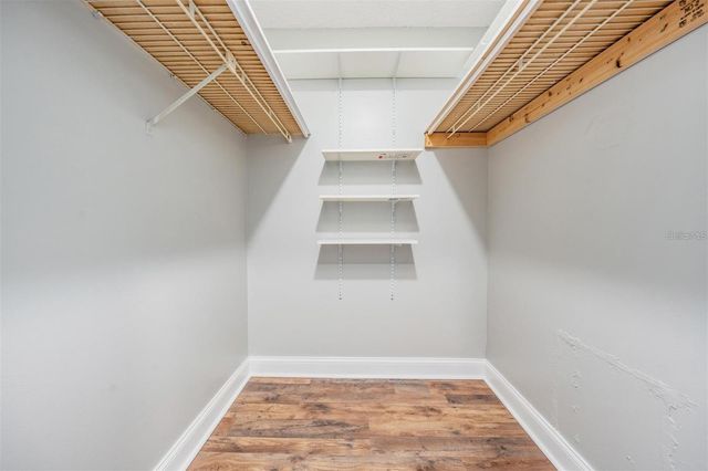 364 GLOUCESTER STREET, Safety Harbor, FL 34695