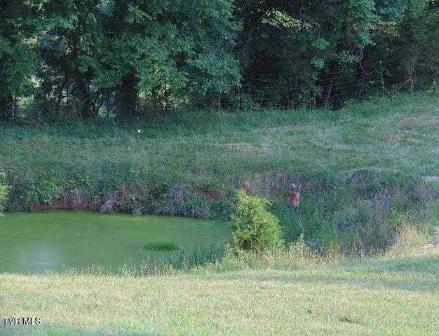 901 Ball Field Road, Gate City, VA 24251