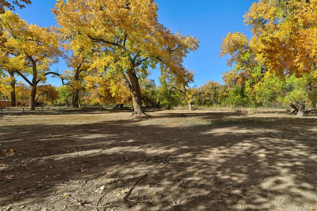 373 Bosque Acres Road, Corrales, NM 87048