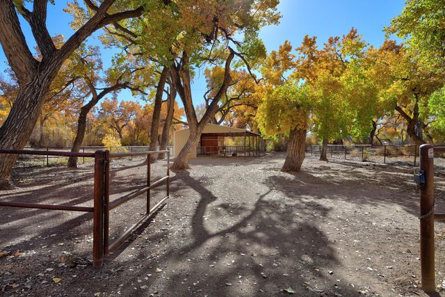 373 Bosque Acres Road, Corrales, NM 87048