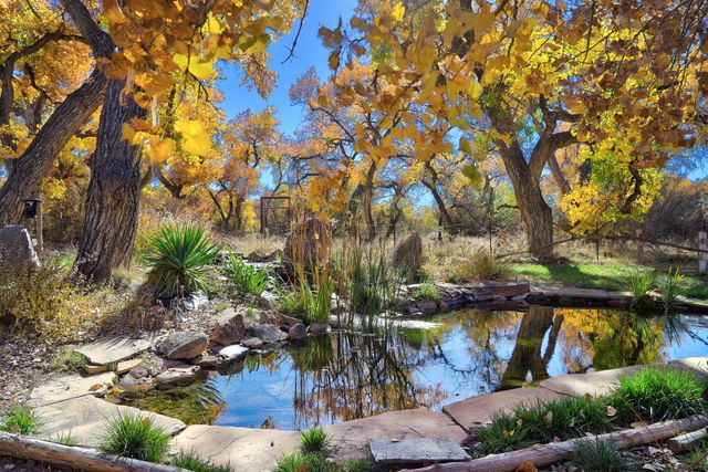 373 Bosque Acres Road, Corrales, NM 87048