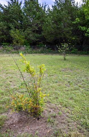TBD County Rd 663, Farmersville, TX 75442