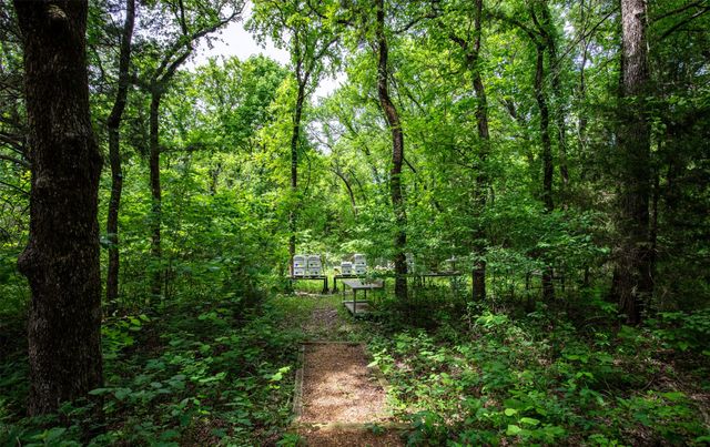 TBD County Rd 663, Farmersville, TX 75442