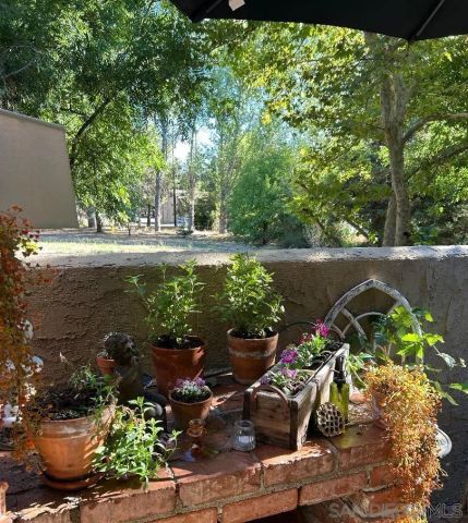 24312 CENTRAL AVENUE, Descanso, CA 91916