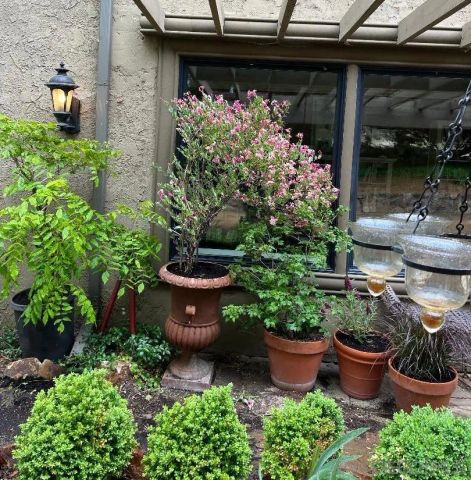 24312 CENTRAL AVENUE, Descanso, CA 91916