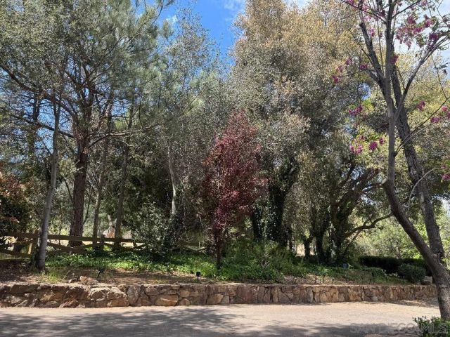 24312 CENTRAL AVENUE, Descanso, CA 91916