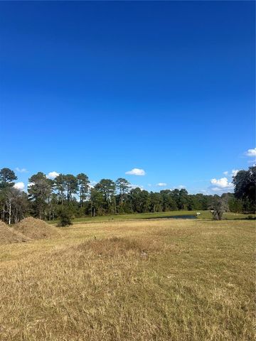 38553 WOODED MEADOW DRIVE, Umatilla, FL 32784