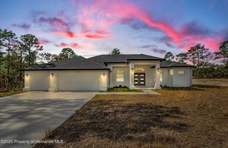 16117 Medrick Road, Weeki Wachee, FL 34614