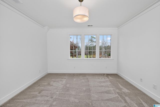 262 OLMSTED STREET, Birmingham, AL 35242