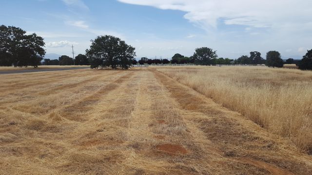 Lot 63 River Downs Way, Cottonwood, CA 96022