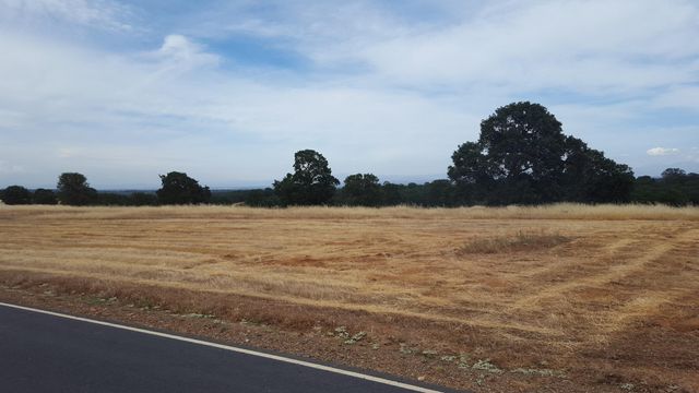 Lot 63 River Downs Way, Cottonwood, CA 96022