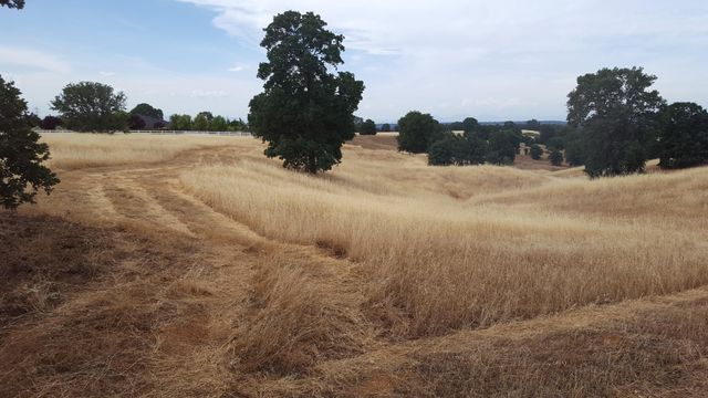 Lot 63 River Downs Way, Cottonwood, CA 96022