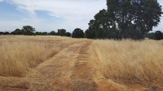 Lot 63 River Downs Way, Cottonwood, CA 96022