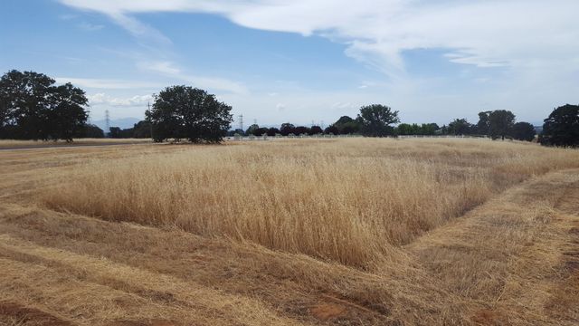 Lot 63 River Downs Way, Cottonwood, CA 96022