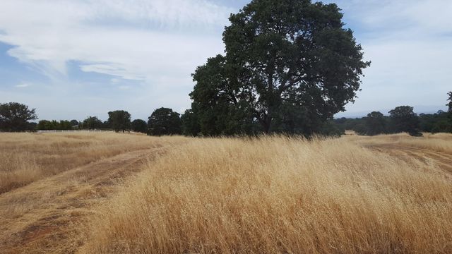 Lot 63 River Downs Way, Cottonwood, CA 96022