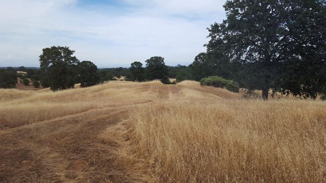 Lot 63 River Downs Way, Cottonwood, CA 96022