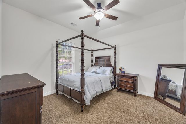 12374 Flowering Drive, Frisco, TX 75035