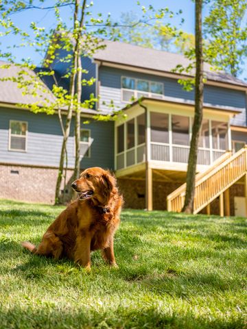 7393 Blackstone Drive, Signal Mountain, TN 37377