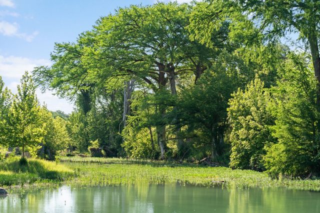5055 Wayside DR, Wimberley, TX 78676