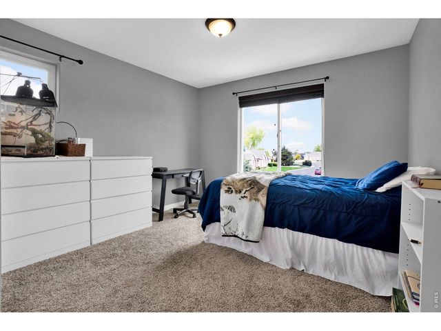 331 Heidie Ln, Milliken, CO 80543