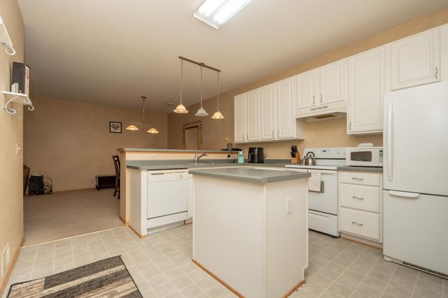 540 Tamarack Trail 406, Farmington, MN 55024