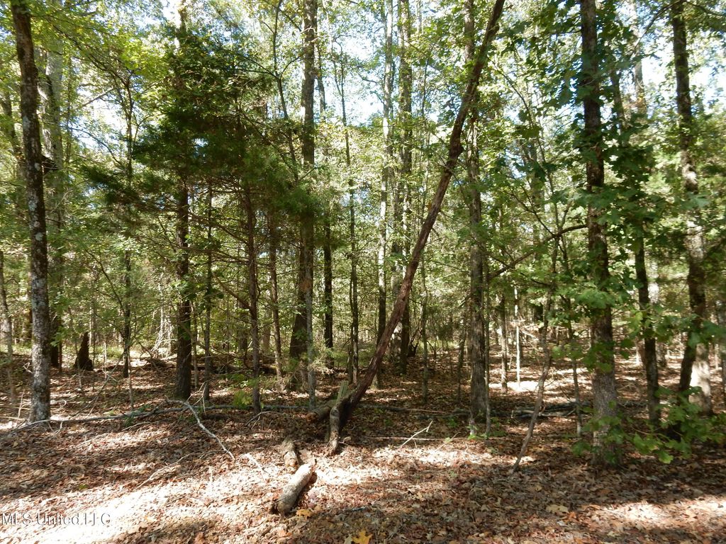 Lot 3 N Crockett Road, Senatobia, MS 38668 — photo 2