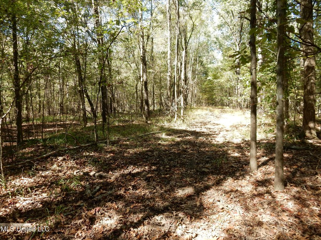 Lot 3 N Crockett Road, Senatobia, MS 38668 — photo 3
