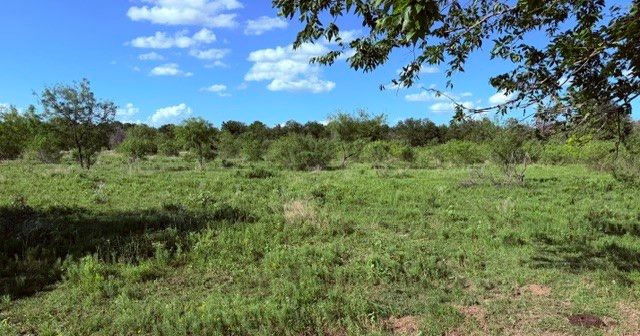 5921 Fm 636, Kerens, TX 75144