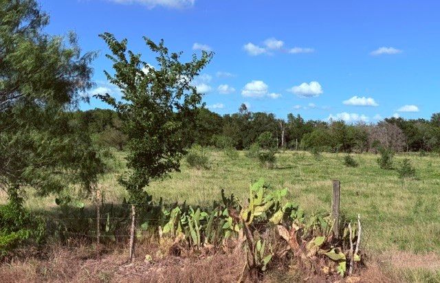 5921 Fm 636, Kerens, TX 75144