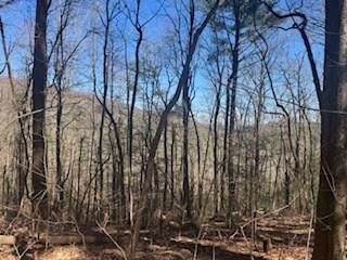 Lot 14 Butler Creek Road, Cherry Log, GA 30522