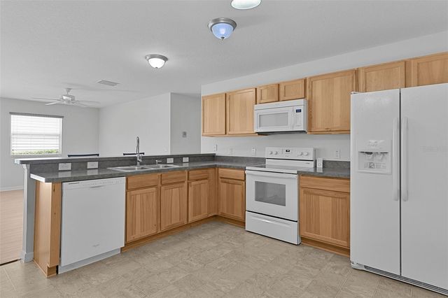 3401 CARRABELLE COURT, The Villages, FL 32163