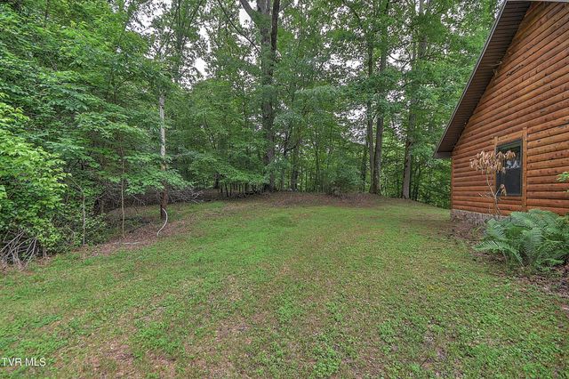 622 Shoals Lane, Hiltons, VA 24258