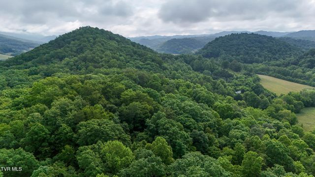622 Shoals Lane, Hiltons, VA 24258