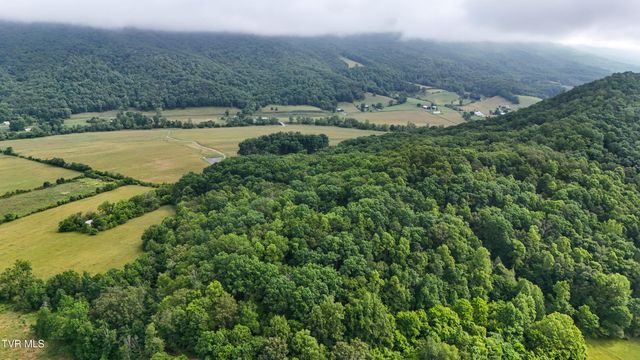 622 Shoals Lane, Hiltons, VA 24258