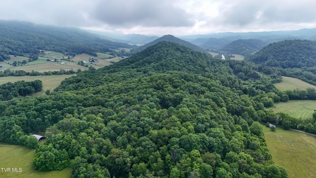 622 Shoals Lane, Hiltons, VA 24258