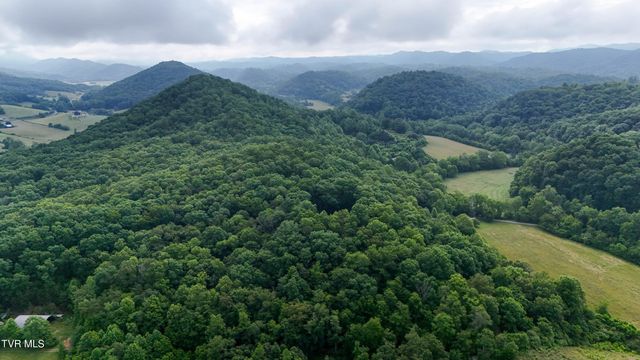 622 Shoals Lane, Hiltons, VA 24258