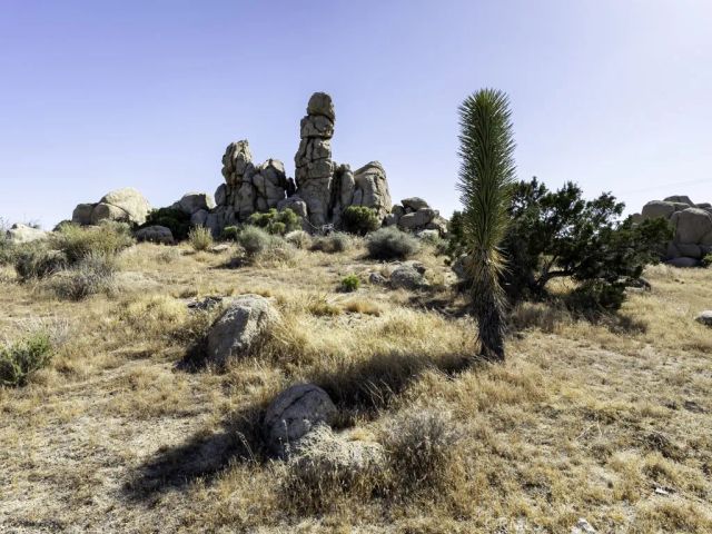 5564 Old Woman Springs Road, Yucca Valley, CA 92284
