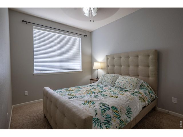 107 Ibiza Ct, Windsor, CO 80550
