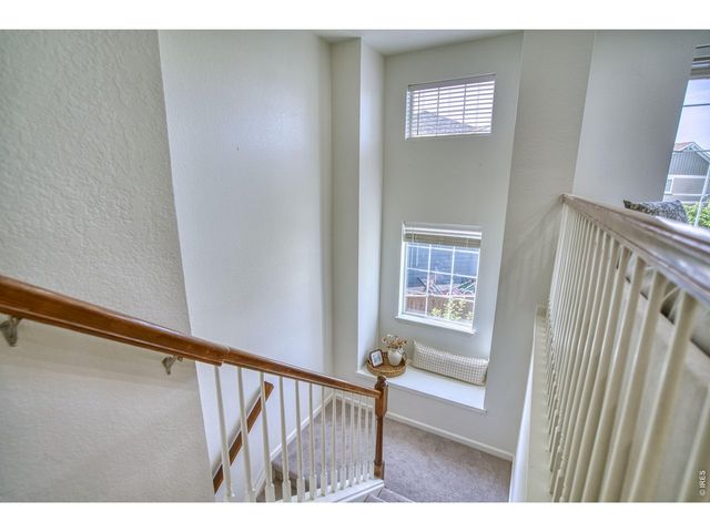 107 Ibiza Ct, Windsor, CO 80550