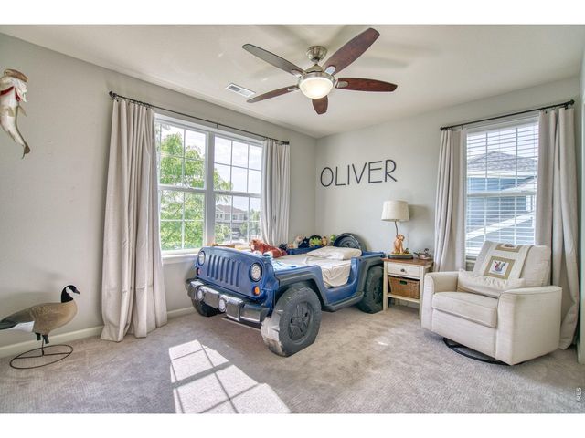 107 Ibiza Ct, Windsor, CO 80550