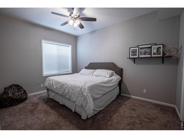 107 Ibiza Ct, Windsor, CO 80550