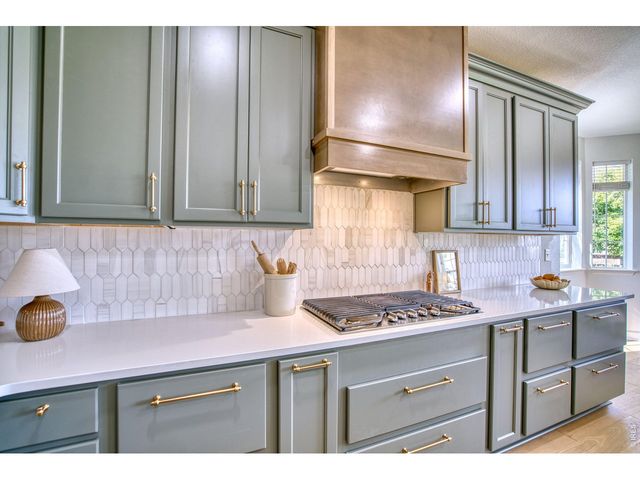 107 Ibiza Ct, Windsor, CO 80550