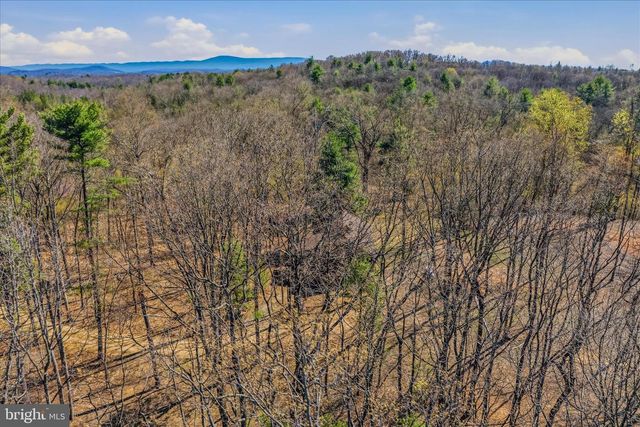 430 HOMEWOOD HOLLOW LN, Berkeley Springs, WV 25411
