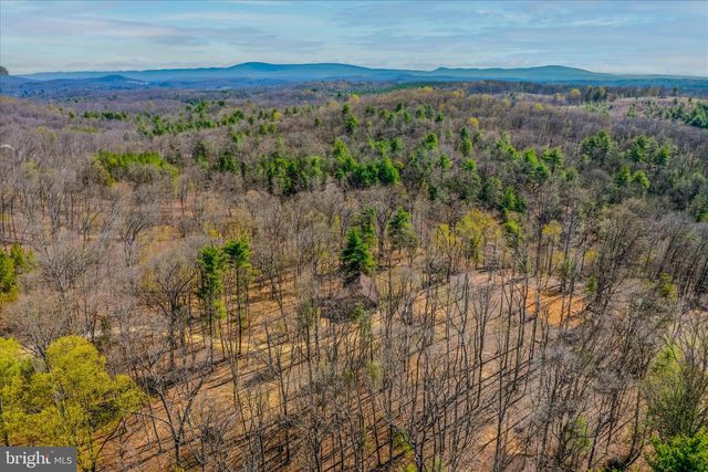 430 HOMEWOOD HOLLOW LN, Berkeley Springs, WV 25411