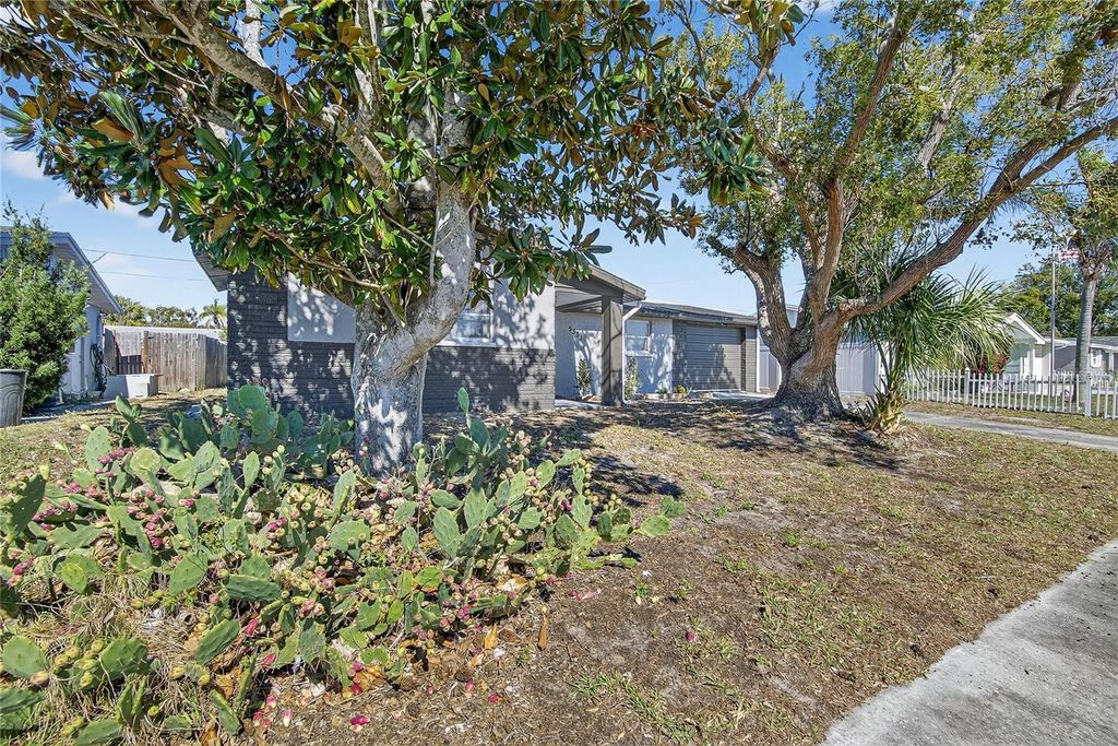 Image 58 of property listing at 5551 MOSAIC DRIVE, Holiday, FL 34690