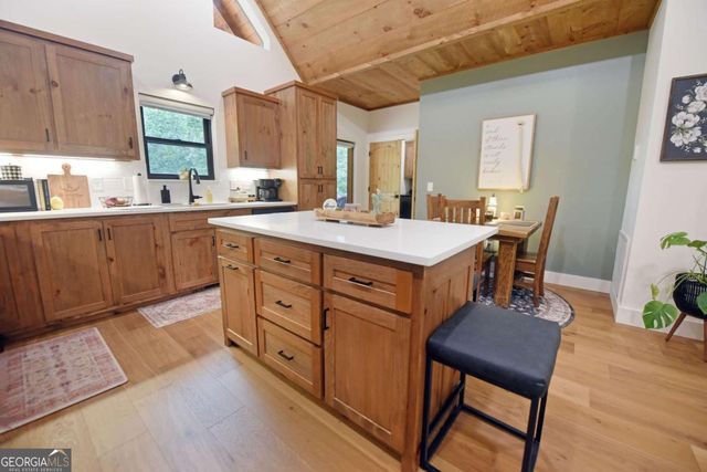 954 Tipton Springs Road, Morganton, GA 30560