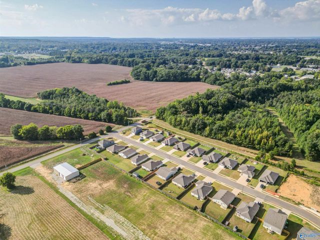 216 Clear Creek Drive, Decatur, AL 35603