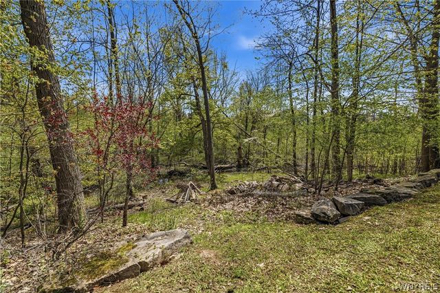 207 Forest Creek Lane, Grand Island, NY 14072